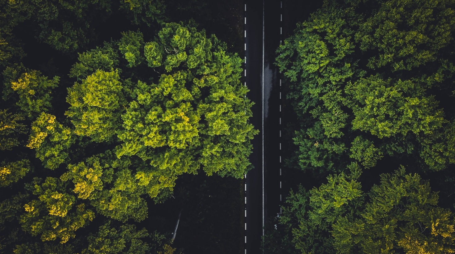 Como a Economia Verde Transforma Negócios Globais