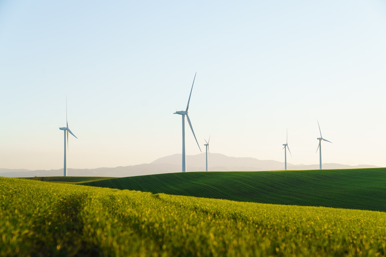 Capacitação Profissional em Sustentabilidade Agroambiental